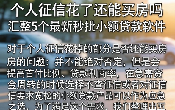 个人征信花了还能买房吗,汇整5个最新秒批小额贷款软件