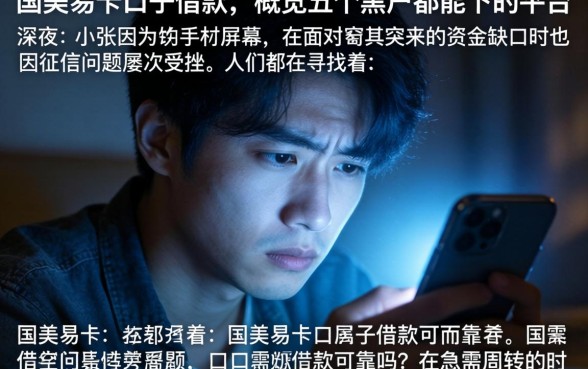 国美易卡口子借款，概览五个黑户都能下的平台