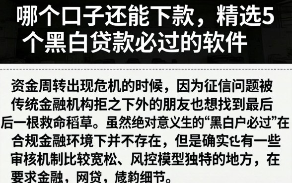 哪个口子还能下款，精选5个黑白贷款必过的软件