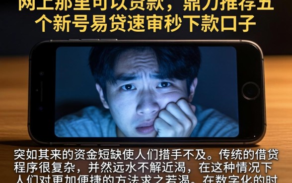 网上那里可以贷款，鼎力推荐五个新号易贷速审秒下款口子