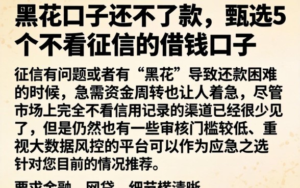 黑花口子还不了款，甄选5个不看征信的借钱口子