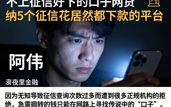 不上征信好下的口子网贷，归纳5个征信花居然都下款的平台