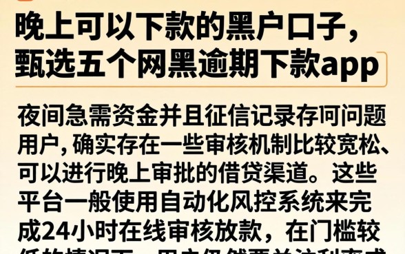 晚上可以下款的黑户口子，甄选五个网黑逾期下款app