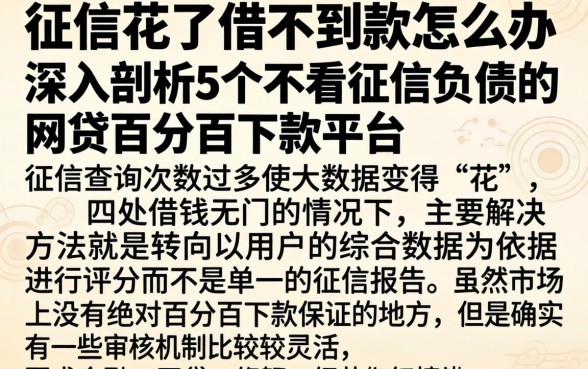 征信花了借不到款怎么办，深入剖析5个不看征信负债的网贷百分百下款平台