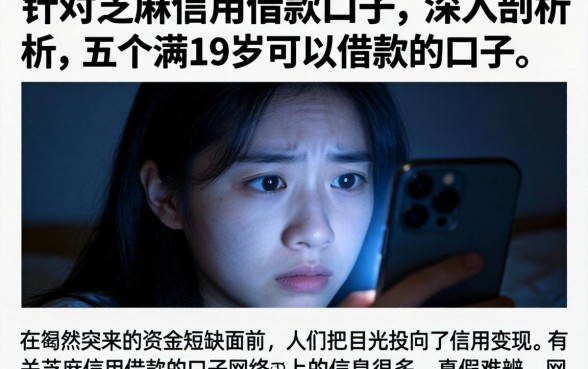 针对芝麻信用借款的口子，深入剖析五个满19岁可以借款的口子