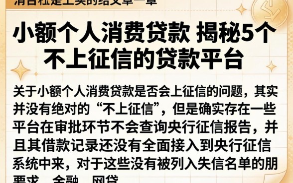 小额个人消费贷款，揭秘5个不上征信的贷款平台