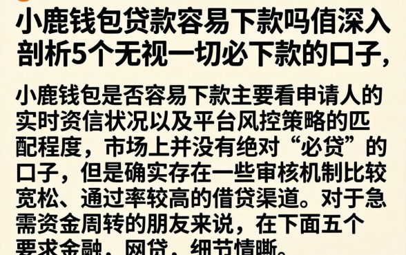 小鹿钱包贷款容易下款吗，深入剖析5个无视一切必下款的口子