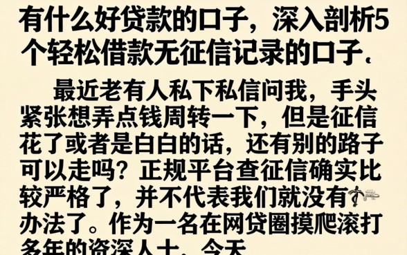有什么好贷款的口子,深入剖析5个轻松借款无征信记录的口子
