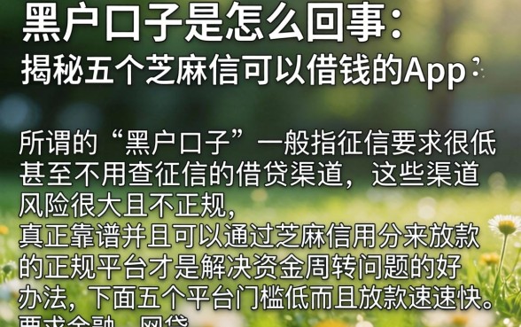 黑户口子是怎么回事，揭秘五个芝麻信用可以借钱的app