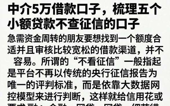 中介5万借款口子，梳理五个小额贷款不查征信的口子