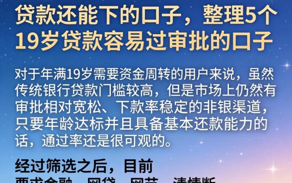贷款还能下的口子，整理5个19岁贷款容易过审批的口子