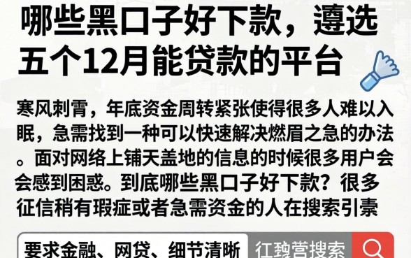哪些黑口子好下款，遴选五个12月能贷款的平台