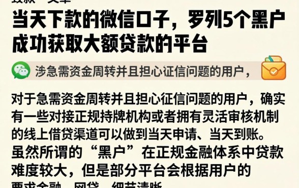 当天下款的微信口子，罗列5个黑户成功获取大额贷款的平台