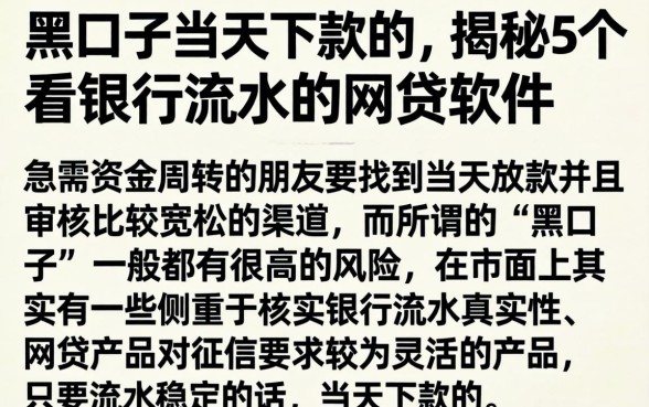黑口子当天下款的，揭秘5个看银行流水的网贷软件