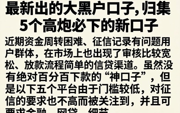 最新出的大黑户口子，归集5个高炮必下的新口子