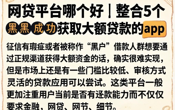 网贷平台哪个好,整合5个黑户成功获取大额贷款的app