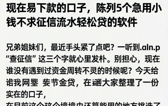 现在易下款的口子，陈列5个急用小钱不求征信流水轻松贷的软件