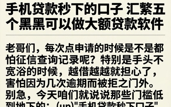 手机贷款秒下的口子，汇整五个黑户可以做大额贷款软件
