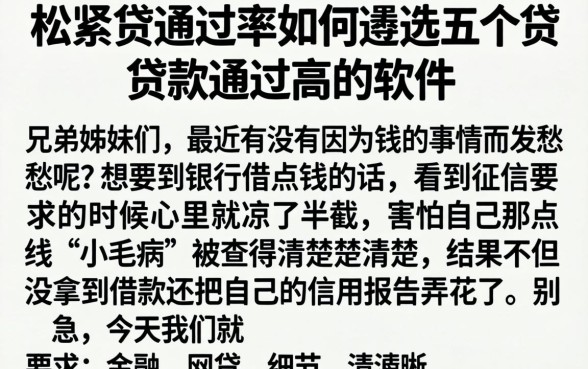 松紧贷通过率如何,遴选五个贷款通过高的软件