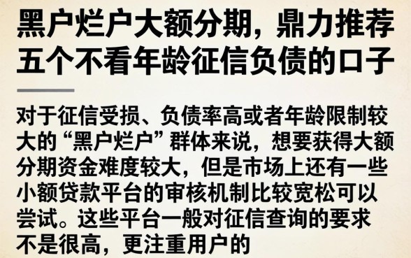 黑户烂户大额分期,鼎力推荐五个不看年龄征信负债的口子