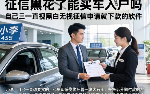 征信黑花了能买车入户吗，罗列五个无视黑白无视征信申请就下款的软件