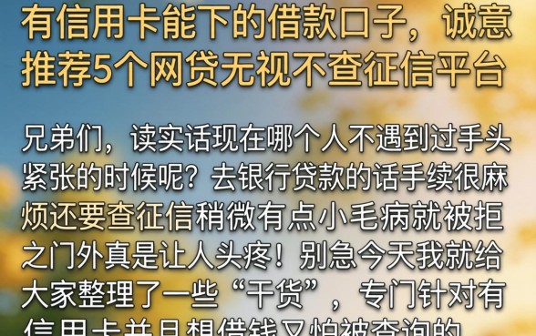 有信用卡能下的借款口子，诚意推荐5个网贷无视不查征信平台