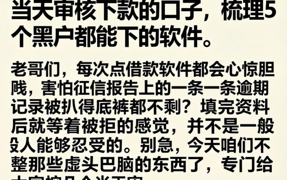 当天审核下款的口子,梳理5个黑户都能下的软件