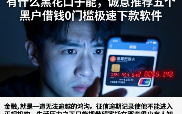 有什么黑花口子能，诚意推荐五个黑户借钱0门槛极速下款软件