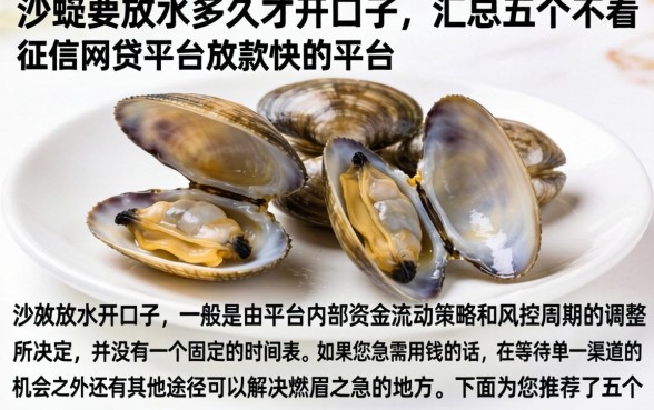 沙蚬要放水多久才开口子，汇总五个不看征信网贷平台放款快的平台