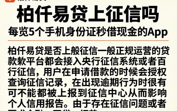 柏仟易贷上征信吗,概览5个手机身份证秒借现金的app