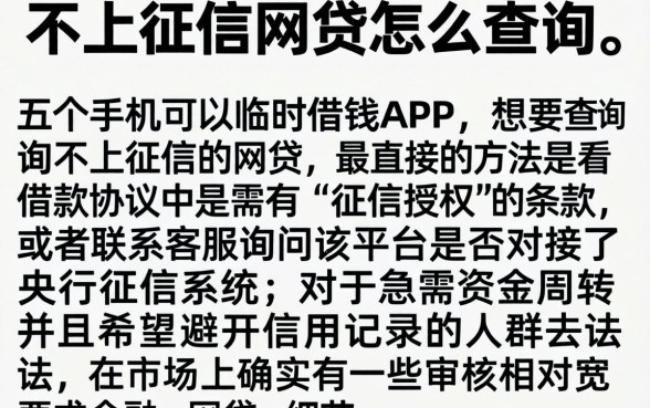不上征信的网贷怎么查询，详尽说明五个手机可以临时借钱的app