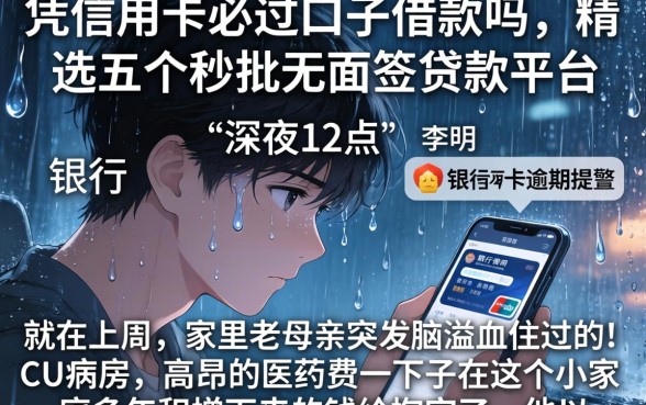 凭信用卡必过口子借款吗，精选五个秒批无面签贷款平台