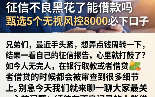 征信不良黑花了能借款吗，甄选5个无视风控8000必下口子
