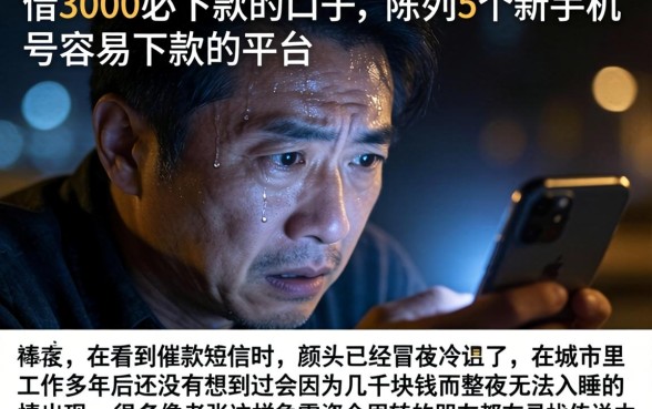 借3000必下款的口子，陈列5个新手机号容易下款的平台