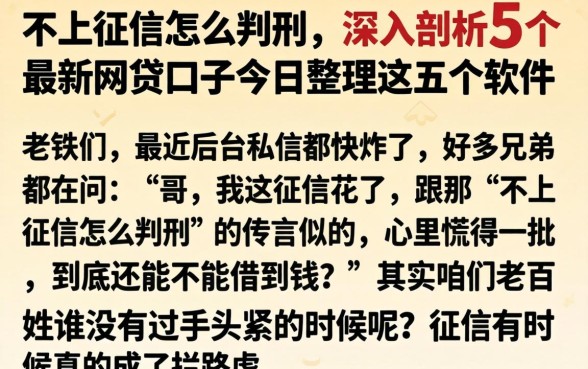不上征信怎么判刑，深入剖析5个最新网贷口子今日整理这五个软件