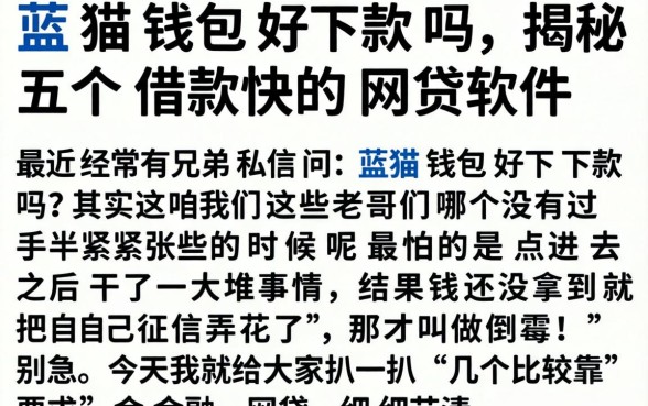蓝猫钱包好下款吗，揭秘五个借款快的网贷软件