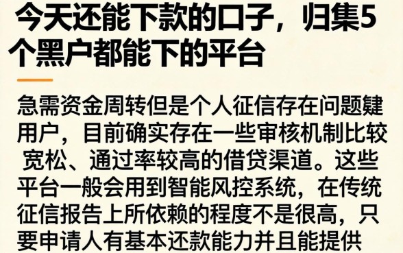 今天还能下款的口子，归集5个黑户都能下的平台