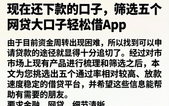 现在还下款的口子，筛选五个网贷大口子轻松借app