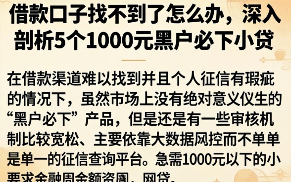 借款口子找不到了怎么办，深入剖析5个1000元黑户必下小贷