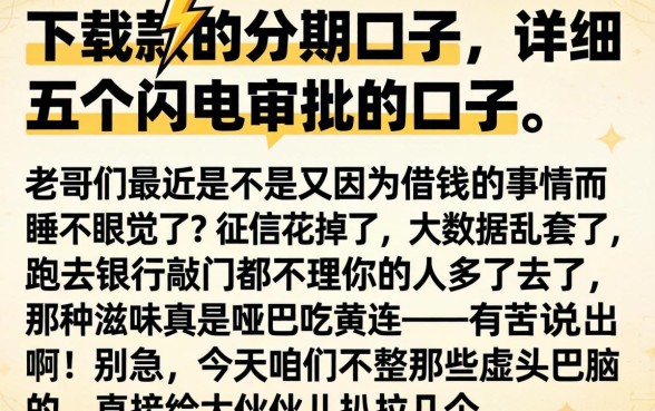 下载款的分期口子,详细阐述五个闪电审批的口子