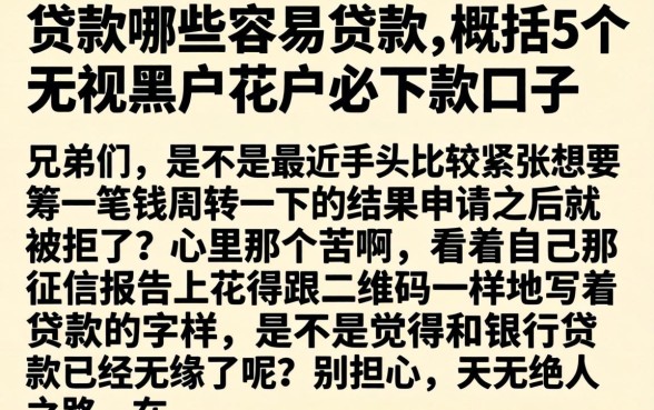 贷款哪些容易贷款，概括5个无视黑户花户必下款口子