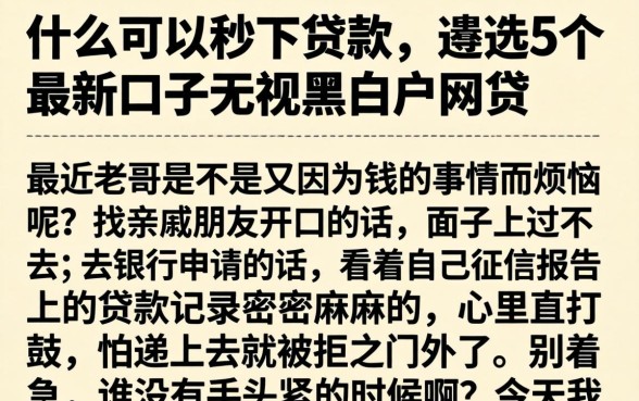什么可以秒下贷款，遴选5个最新口子无视黑白户网贷