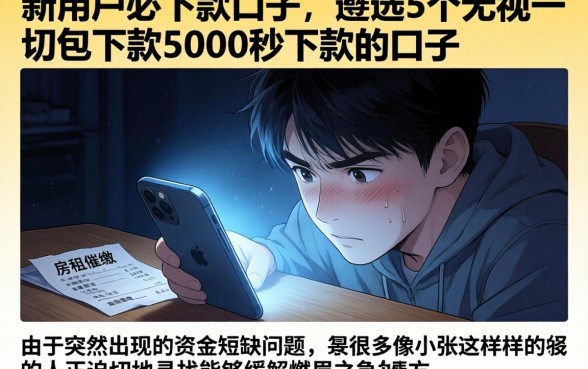 新用户必下款口子，遴选5个无视一切包下款5000秒下款的口子