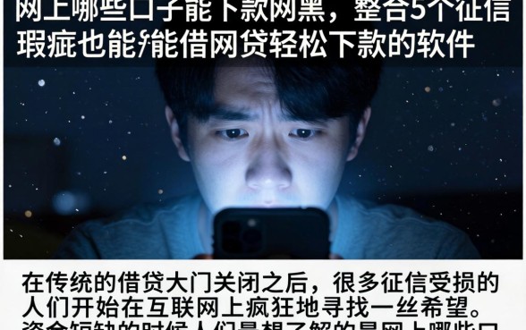 网上哪些口子能下款网黑，整合5个征信瑕疵也能借网贷轻松下款的软件