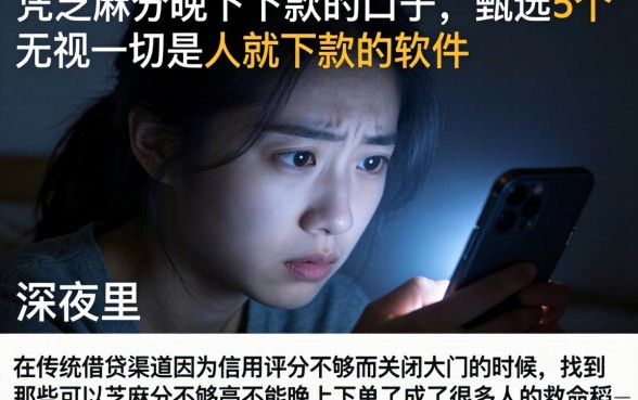 凭芝麻分晚下下款的口子，甄选5个无视一切是人就下款的软件