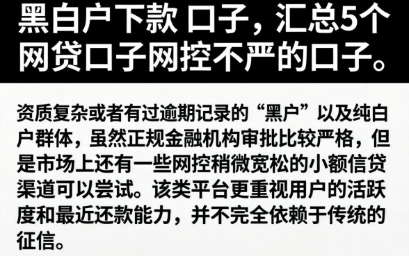 黑白户下款的口子，汇总5个网贷口子风控不严的口子
