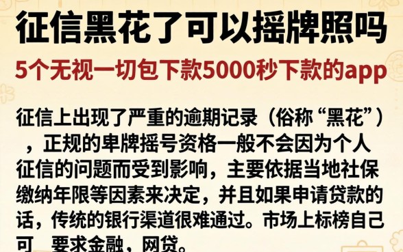 征信黑花了可以摇牌照吗，概括5个无视一切包下款5000秒下款的app