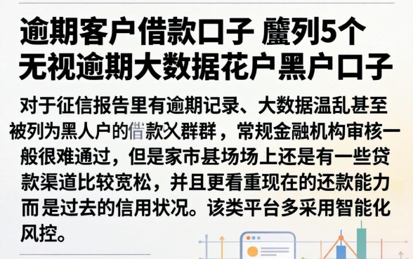 逾期客户借款口子，胪列5个无视逾期大数据花户黑户口子