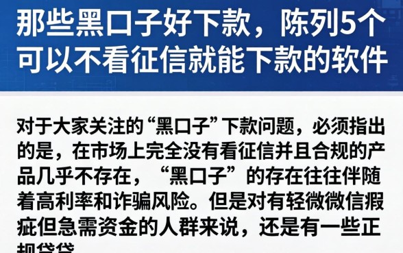 那些黑口子好下款，陈列5个可以不看征信就能下款的软件
