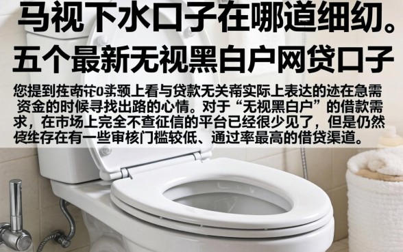 马桶的下水口子在哪，细致阐述五个最新无视黑白户网贷口子